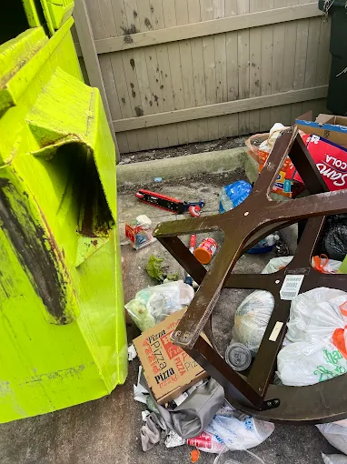 Office junk removal